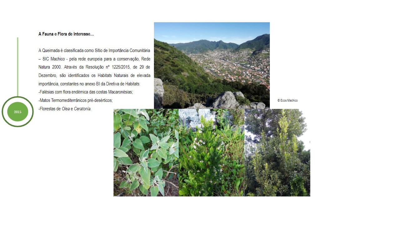 Queimada